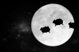 countingsheep11shutterstock1088223800