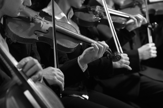 violinsshutterstock124878142-1